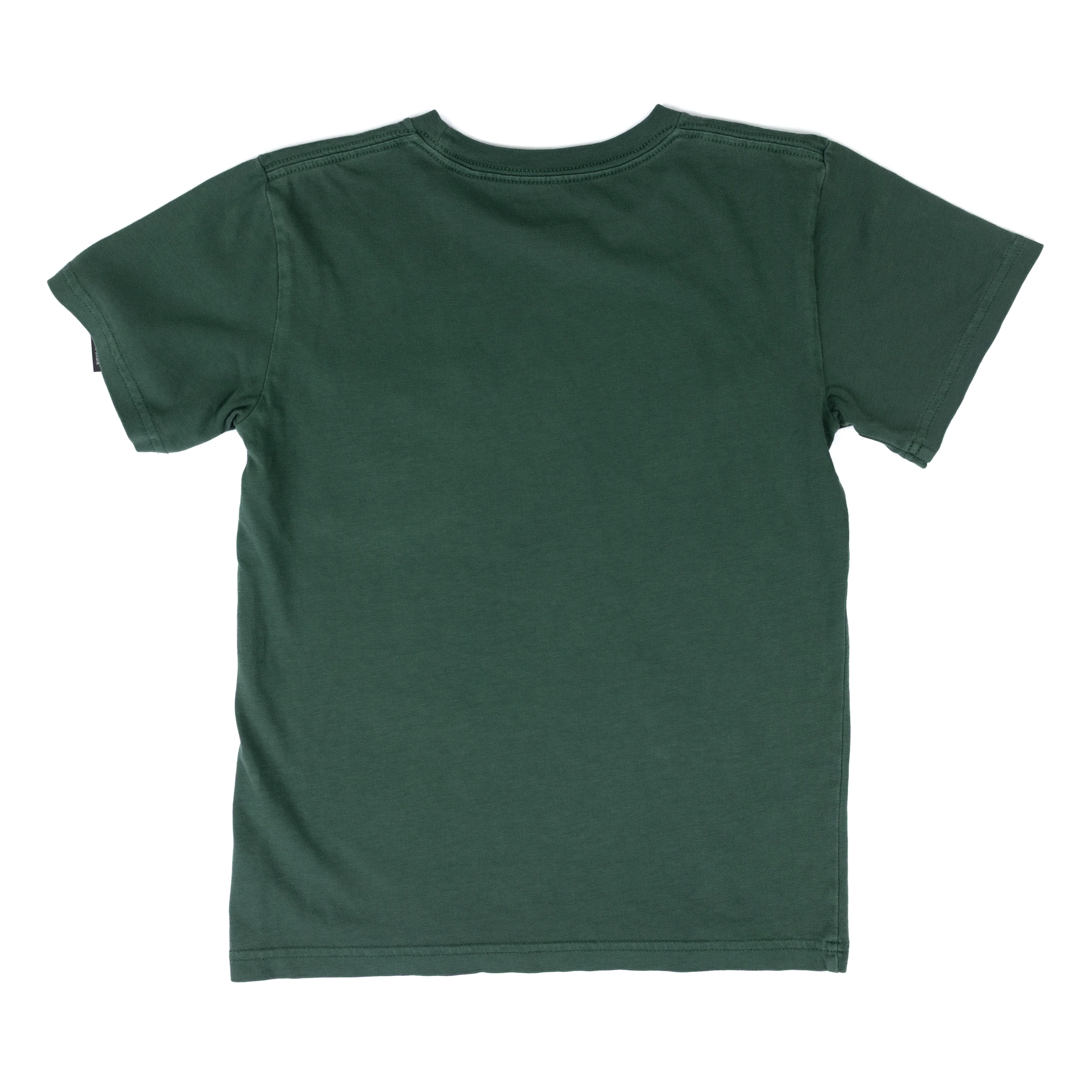 Boy's Carhartt Short Sleeve Forest Green Pocket T-shirt CA6789-GP1W - Image 2