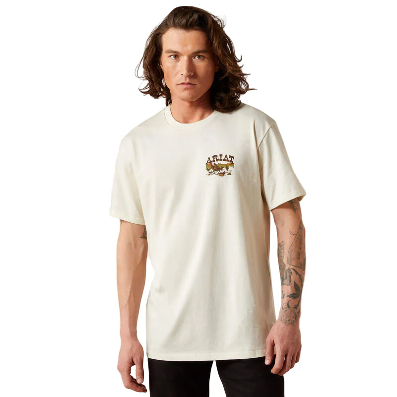 Men's Ariat Pulp Western T-shirt 10065901