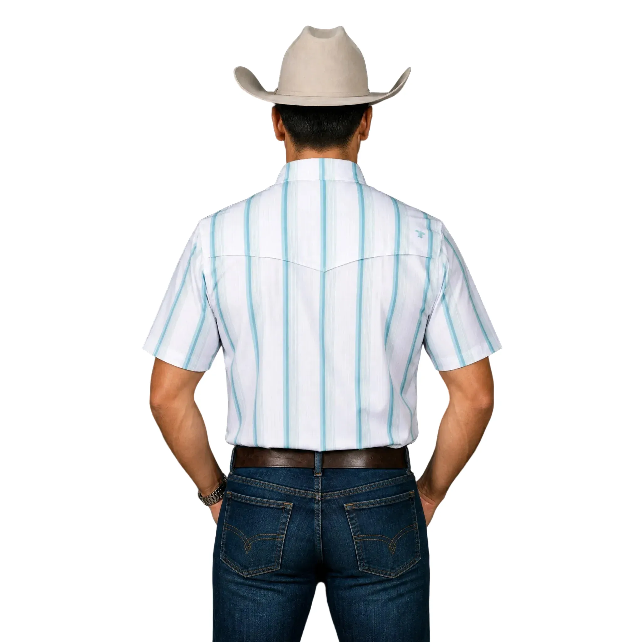 Men's Ferrell Short Sleeve The Tristan in Gray/Green Striped Pearl Snap Shirt FPS1026116 - Image 2