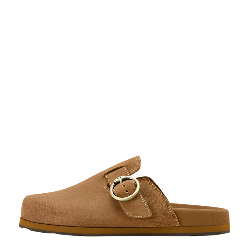 Women's Ariat Country Mule 10061236 - Image 4